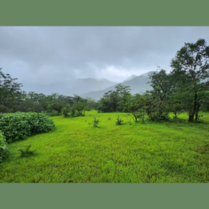 Varak Hills (Farmhouse Plots Project)